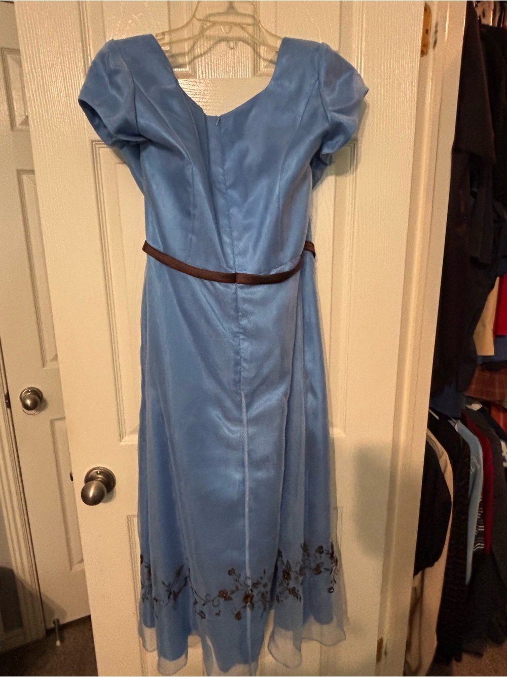 Elegant Light Blue A-Line Dress with Brown Embroidery - Picture 3 of 4